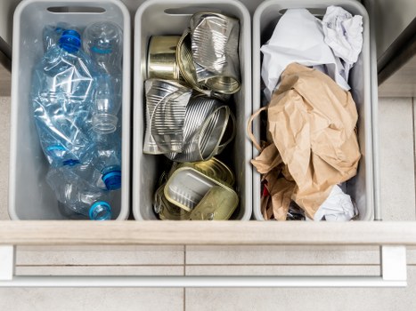 Professional waste management team handling disposal